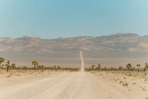 From Las Vegas: Area 51 Full-Day Tour