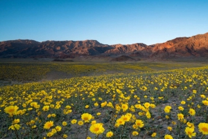 From Las Vegas: Full Day Death Valley Group Tour