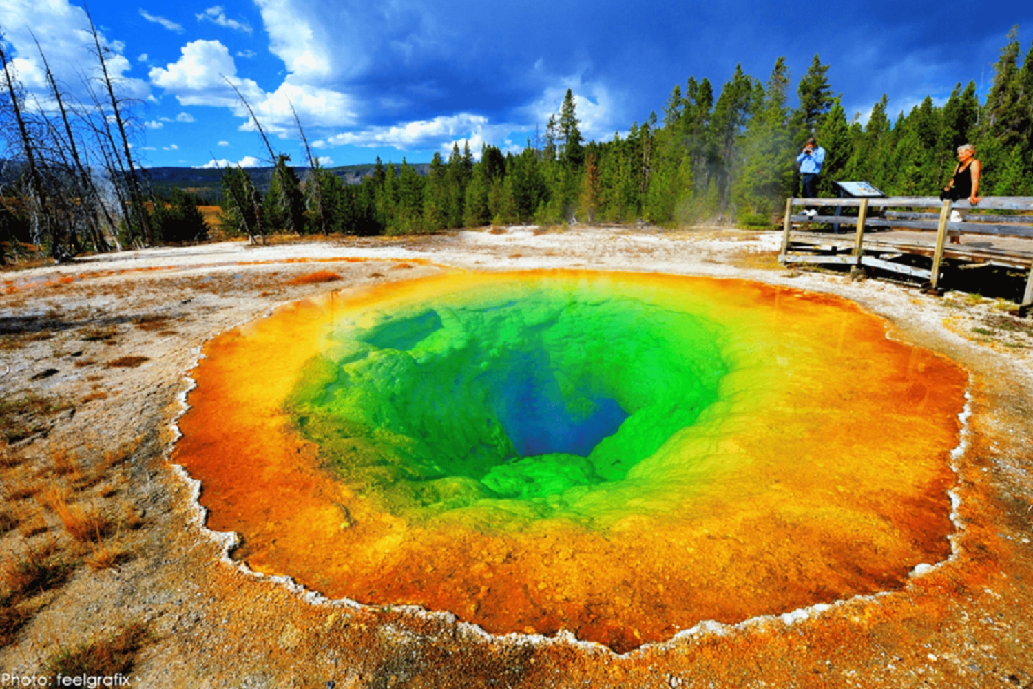 Z Salt Lake City: 7-dniowa wycieczka do Yellowstone i Las Vegas