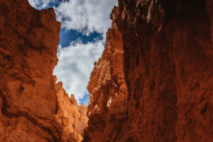 Las Vegas: Bryce and Zion National Parks Tour with Lunch