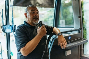 Las Vegas: Bryce and Zion National Parks Tour with Lunch