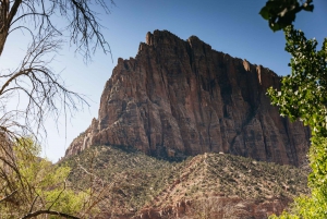 Las Vegas: Bryce and Zion National Parks Tour with Lunch