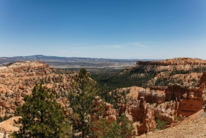 Las Vegas: Bryce and Zion National Parks Tour with Lunch
