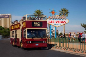 Las Vegas: Hop-on Hop-off Sightseeing Bus Tour