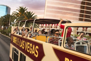 Las Vegas: Panoramic Night Tour