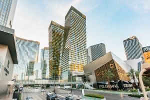 Las Vegas: Panoramic Night Tour