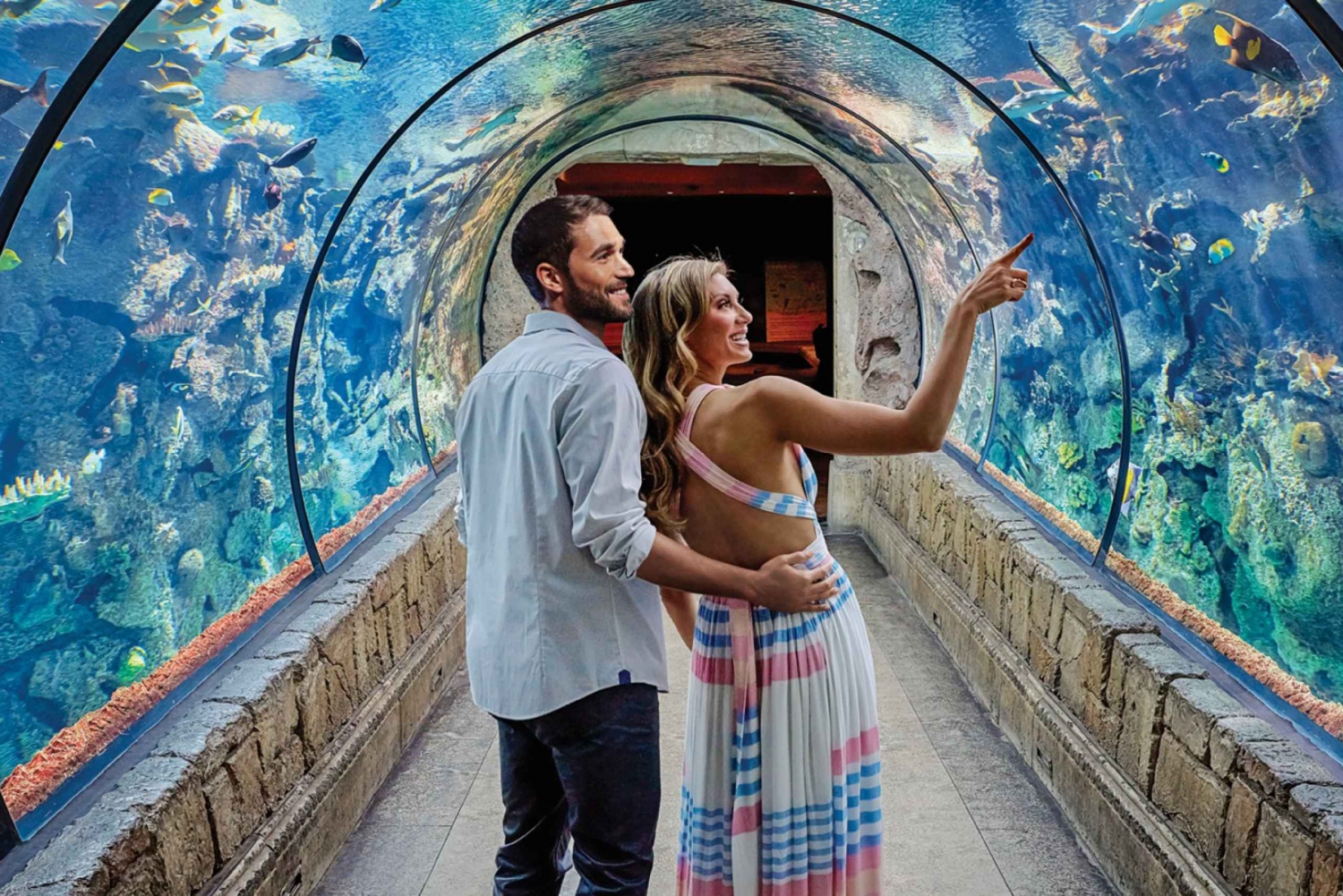 Las Vegas: Shark Reef Aquarium & VR Experience Entry Ticket