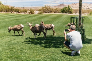 Las Vegas: Small Group 3-Hour Hoover Dam Mini Tour