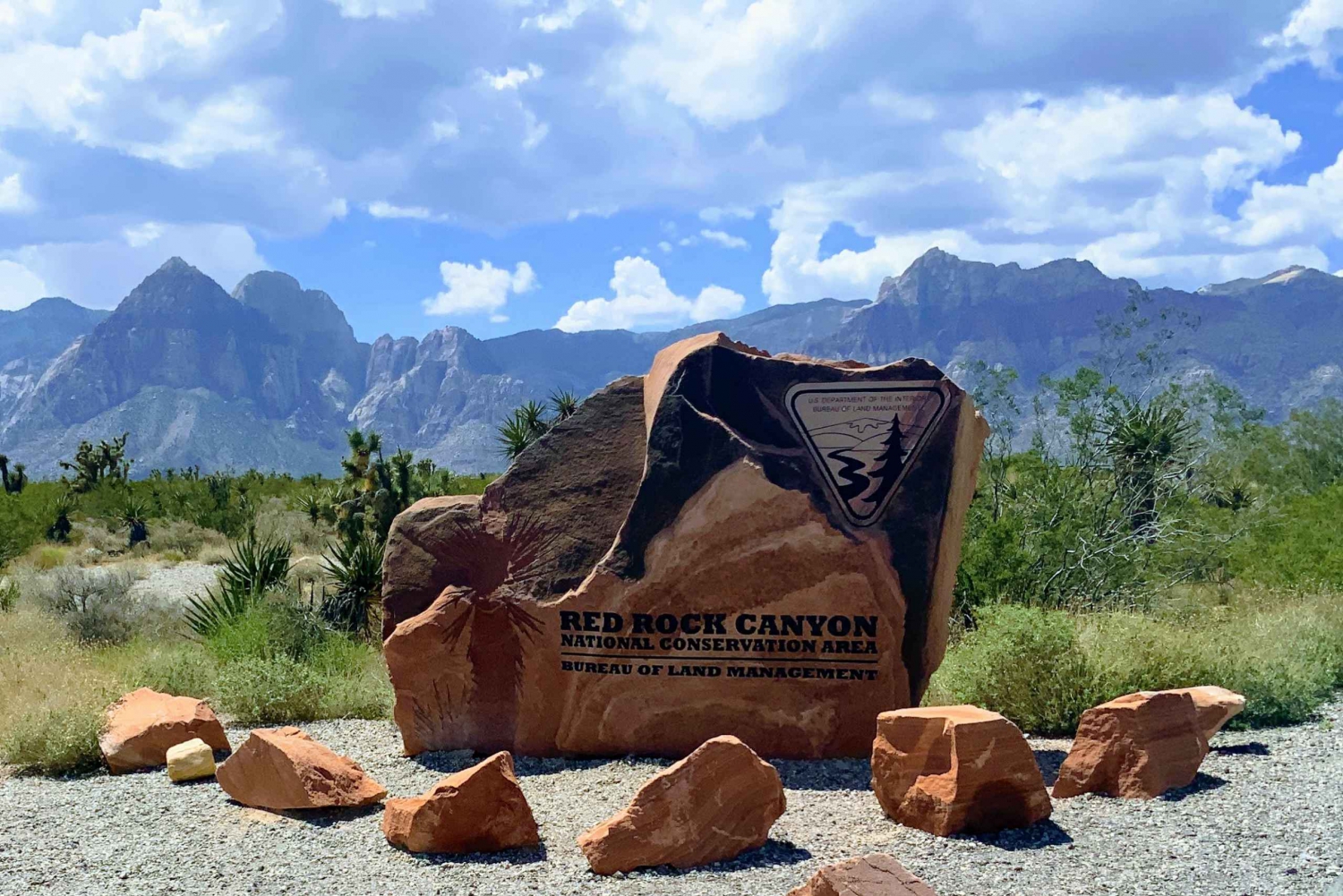 Las Vegas: Kanion Red Rock i kapryśny kaktus Joe's + lunch