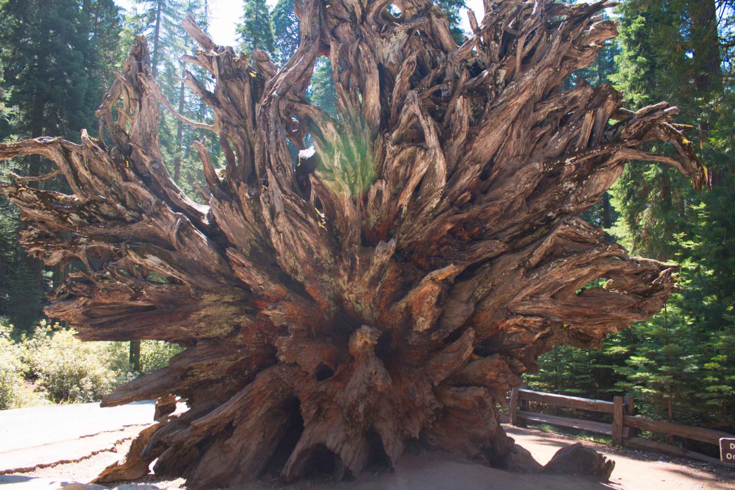 San Francisco: Yosemite, Las Vegas, Bryce & Zion, 6-Day Tour