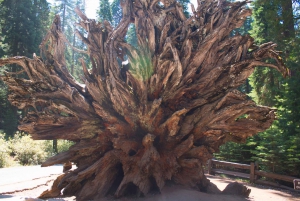 San Francisco: Yosemite, Las Vegas, Bryce & Zion, 6-päiväinen kiertomatka