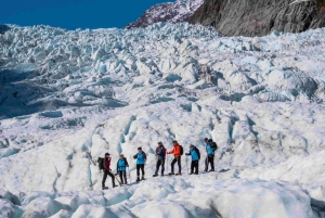 Fox Glacier: ヘリコプター転送付き最大3時間のハイキング
