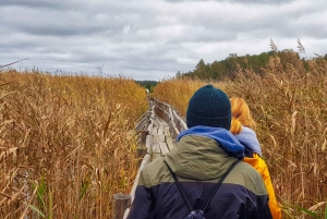 From Riga: Half-Day Adventure In Kemeri National Park