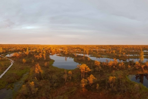 From Riga: Half-Day Adventure In Kemeri National Park