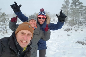 From Riga: Half-Day Adventure In Kemeri National Park