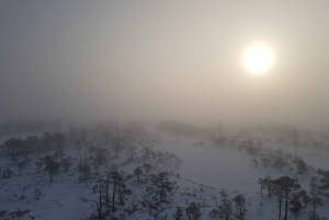 From Riga: Half-Day Adventure In Kemeri National Park