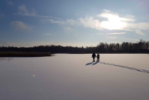 From Riga: Half-Day Adventure In Kemeri National Park