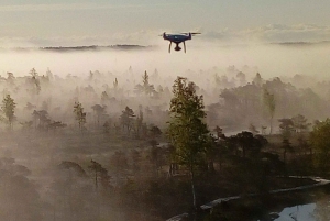 Болотная тропа национального парка Кемери под Ригой