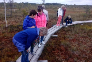 From Riga: Kemeri National Park Nature Trail