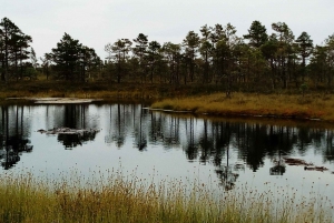 From Riga: Kemeri National Park Nature Trail