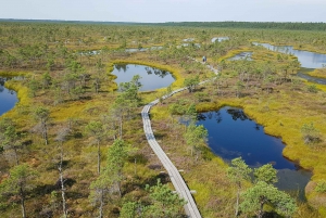From Riga: Kemeri National Park Nature Trail