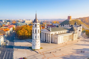 From Riga: Private Transfer to Vilnius with Sightseeing