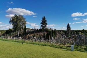From Riga: The Hill of Crosses Private Guided Tour