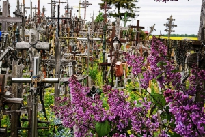 From Riga: The Hill of Crosses Private Guided Tour