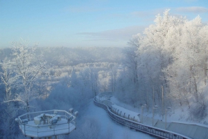 Ryga: przejażdżka bobslejowa i saneczkowa w Siguldzie z transportem z hotelu