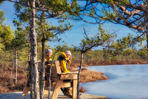 Riga: Best of Kemeri National Park In One Day