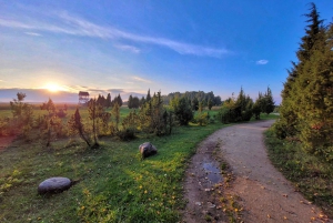 Riga: Best of Kemeri National Park In One Day