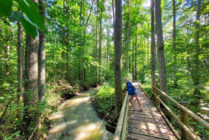 Riga: Best of Kemeri National Park In One Day