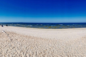 Riga: Best of Kemeri National Park In One Day