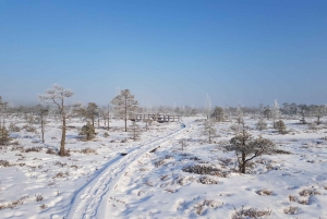 Riga: Best of Kemeri National Park In One Day