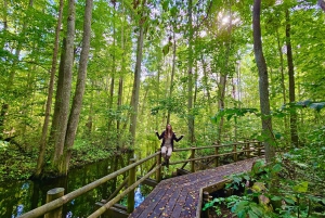 Riga: Best of Kemeri National Park In One Day