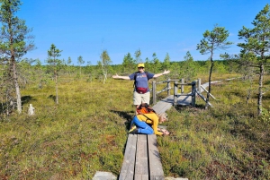 Riga: Best of Kemeri National Park In One Day