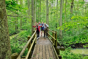 Riga: Best of Kemeri National Park In One Day