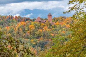 Riga: Private Sigulda, Turaida, and Gauja National Park Tour