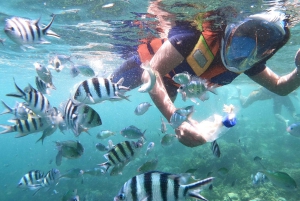 Lombok: Gili Nanggu, Sudak og Gili Kedis Privat snorkling