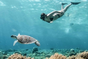 De Bali: Snorkeling privado nas Ilhas Gili com tudo incluído