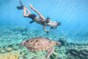 Von Lombok aus: Ganztagestour zu den Inseln Gili Gede, Rengit und Layar