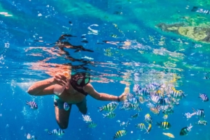 Snorkeling Experience at hidden Gili in Lombok - Day Trip