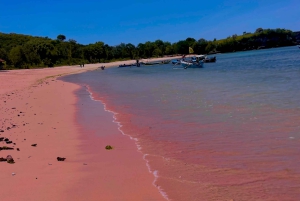 Lombok: Snorkeltrip naar roze strand