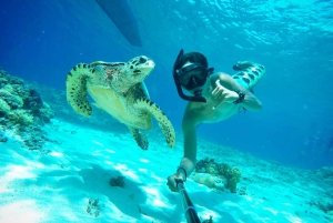 Lombok: Yksityinen snorklaus, Gili Trawangan, Gili Meno, Gili Air