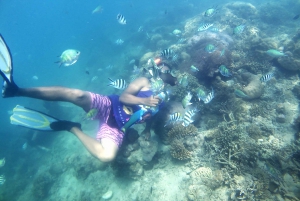 Lombok: Viagem de mergulho com snorkel em Gili Nanggu, Sudak e Kedis