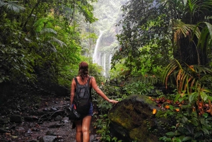North Lombok: Sendang Gile Waterfall & Senaru Village Tour
