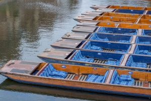 Cambridge: Alumni-Led Walking & Punting Tour w/Kings College