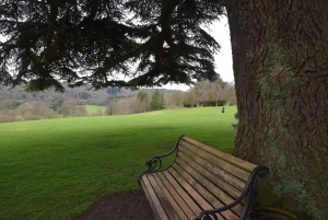 Downton Abbey and Village Small Group Tour from London