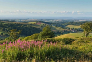 From London: Canterbury & White Cliffs of Dover Tour