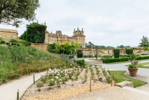 From London: Cotswolds, Blenheim Palace & Downtown Abbey